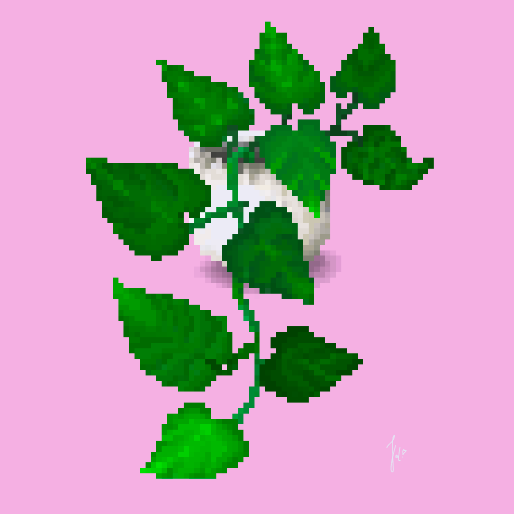 Plant Series